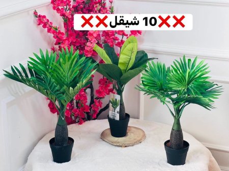 وردة اخضر